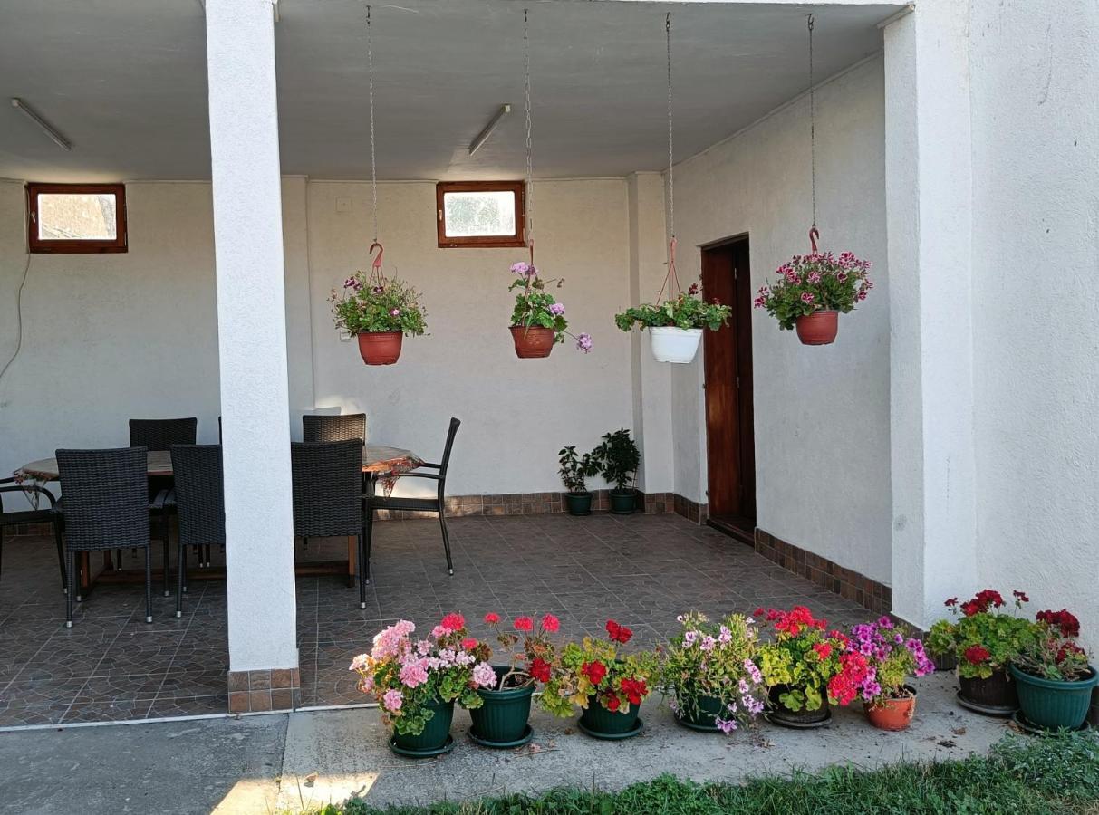 Privatna Soba Dusan Surčin Esterno foto